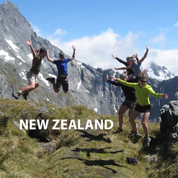 study in new zealand